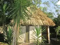 Chaya Maya Jungle Lodge 