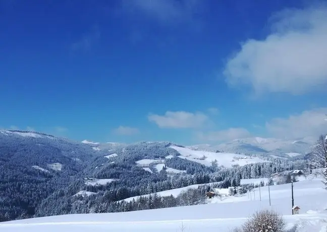 Liebesnesterl Bergwirt 