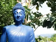 Blue Buddha Hotel 