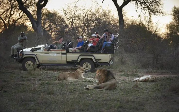 Kapama Buffalo Camp 