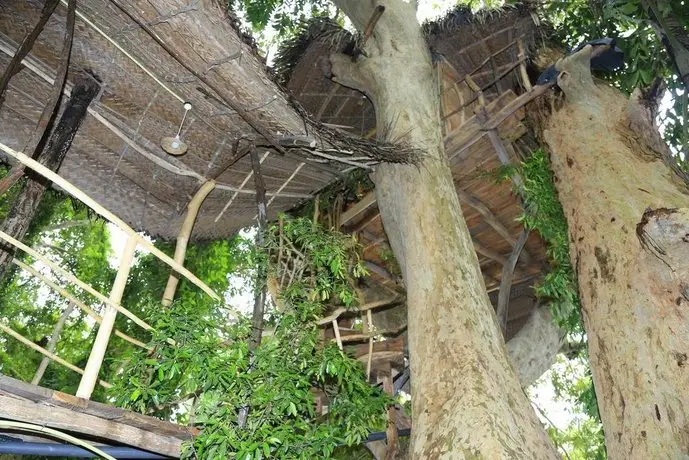 Kumbuk Tree House