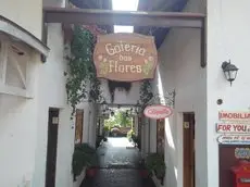 Galeria das Flores Chales 