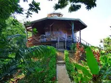 Aloe Vera Ecohouse 