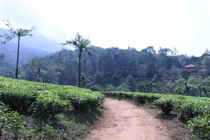 Green Garden Holiday Home Wayanad 