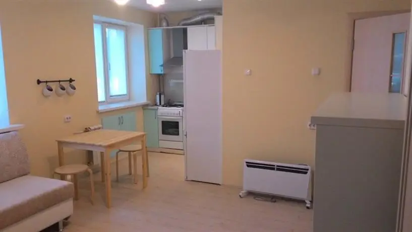 Apartment Krivova 9