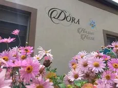 Dora Holiday House 