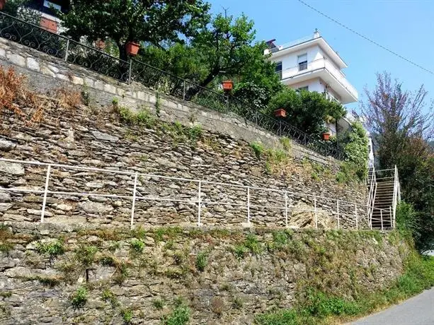 La Paloma Nel Verde 