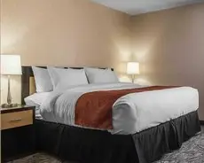 Quality Inn & Suites Kingston 