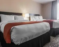 Quality Inn & Suites Kingston 