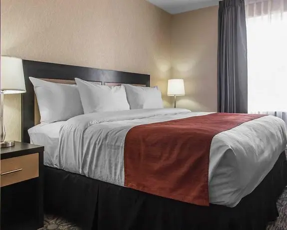 Quality Inn & Suites Kingston 