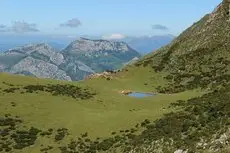 Covadonga Hostel 