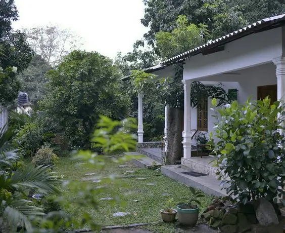 Dambulla Shan Inn 