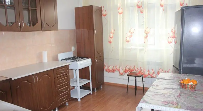 Apartment Polyana 