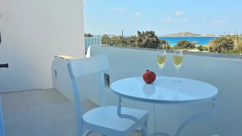 Orion Naxos Hotel 