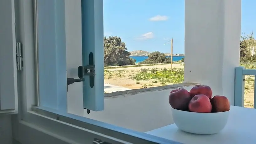 Orion Naxos Hotel 