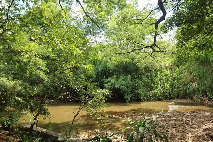 Dambulu Oya Family Park 