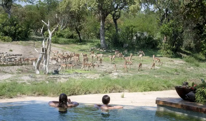 Klaserie Sands River Camp 