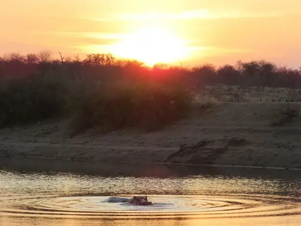 Klaserie Sands River Camp 