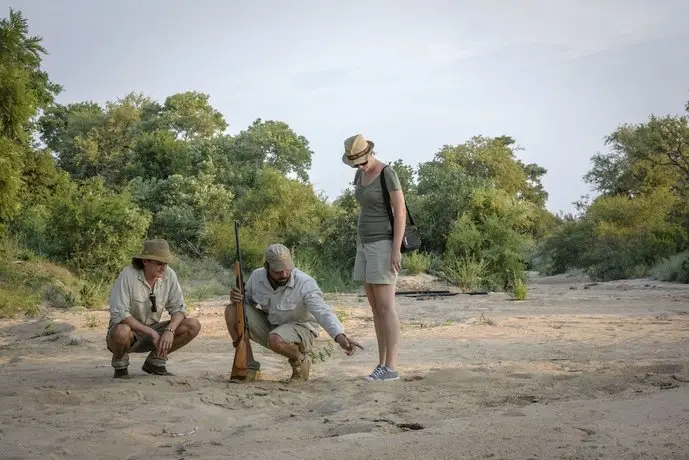 Klaserie Sands River Camp 