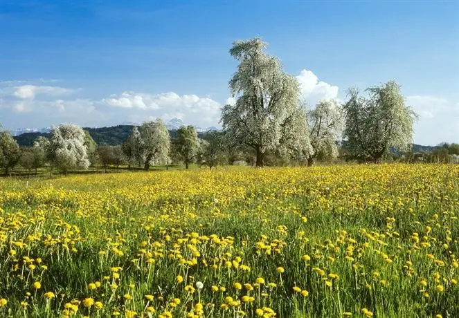 Landgasthof Seelust