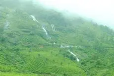 Munnar Legacy 