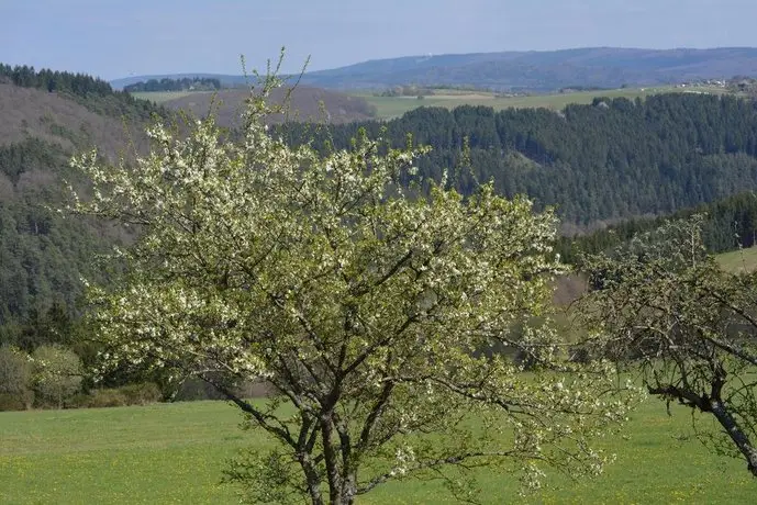 B&B Prosterath-Hochwald 