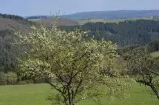 B&B Prosterath-Hochwald 