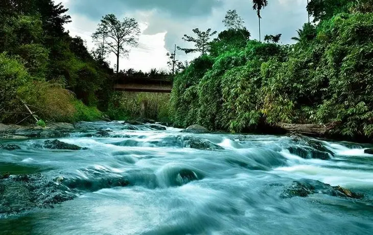 Rivertree Munnar 