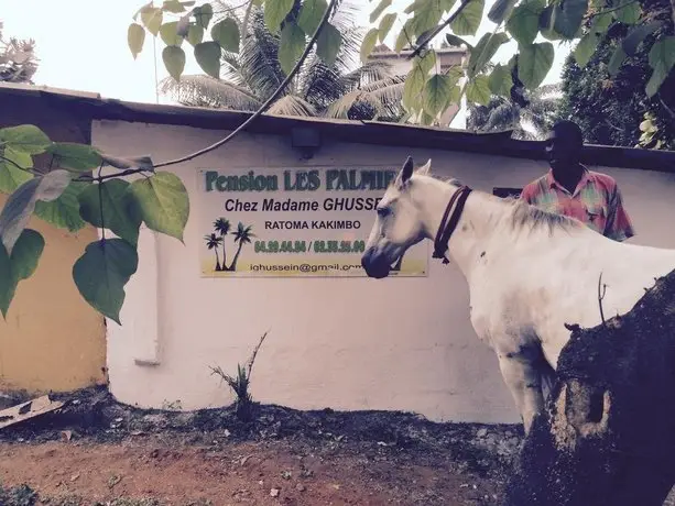 Pension Les Palmiers 