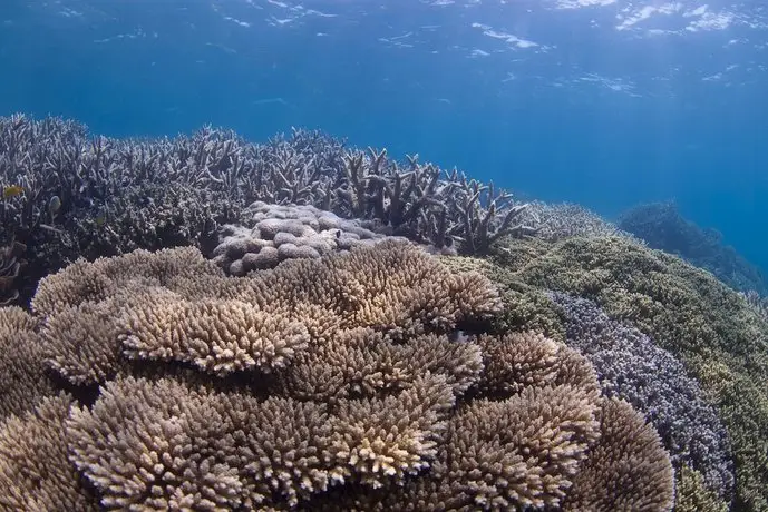 Chumbe Island Coral Park 