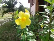 Spring Garden Homestay Cua Duong 