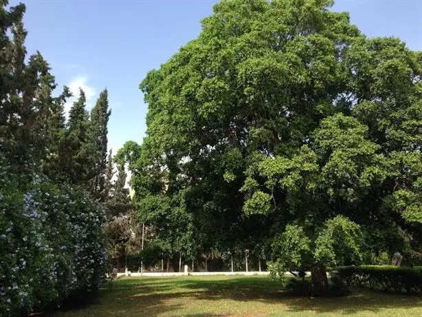 Les Palmiers Centre de Vacances 