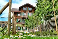 Edelweiss Lodge Wilderswil 