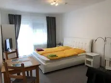 Apartmenthaus Zum Lowen Heidelberg - Ziegelhausen 