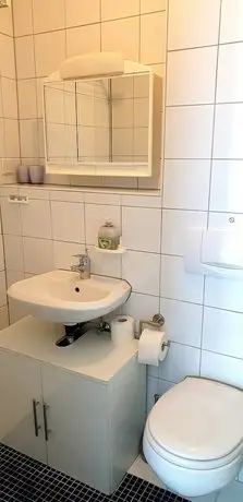 Apartmenthaus Zum Lowen Heidelberg - Ziegelhausen 