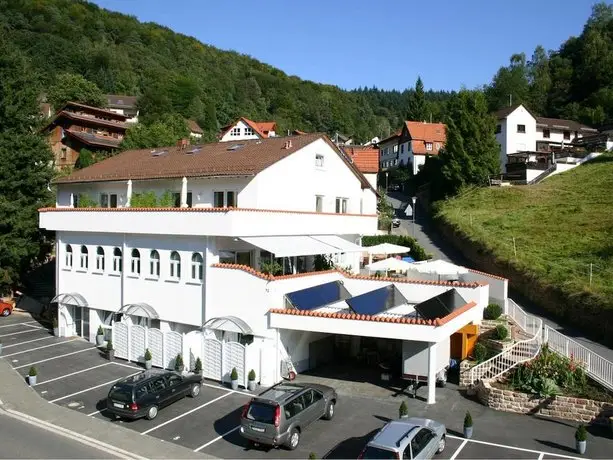 Apartmenthaus Zum Lowen Heidelberg - Ziegelhausen 