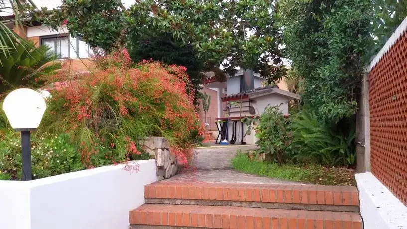 Green House Terracina 