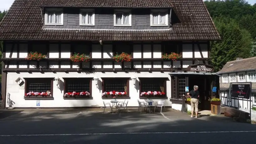 Hotel Zuschenwald