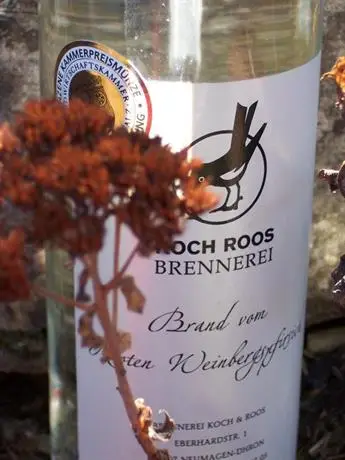 Weingut Koch