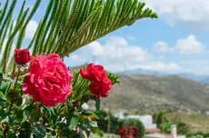 Villa of Roses Naxos 