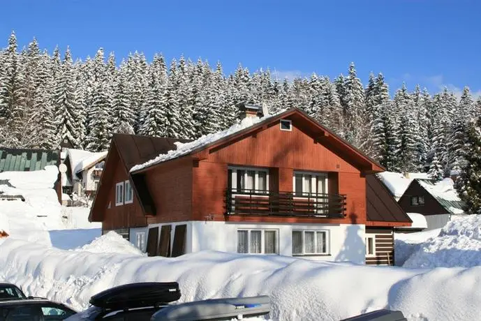 Pension & Chalet Schafer 