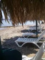 Evoikos beach & resort 