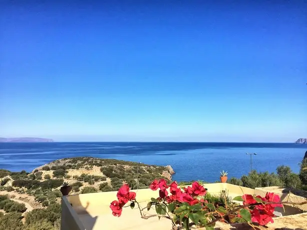 Anemone Seaside Traditional Homes 