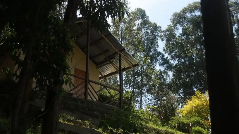 Amasiko Homestay Lake Bunyonyi