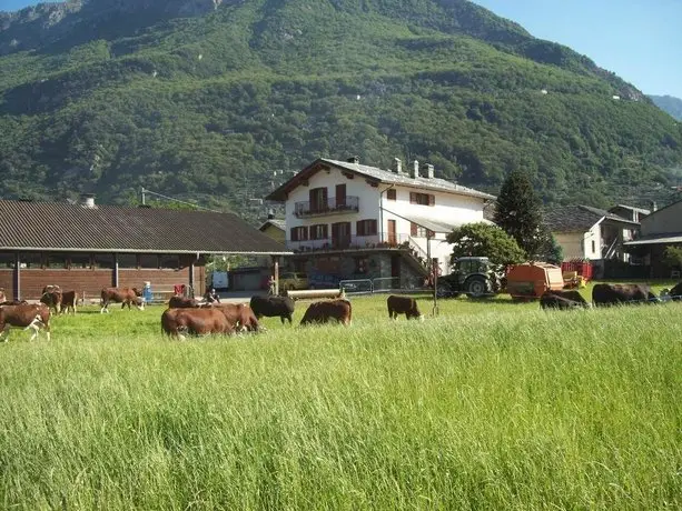 Agriturismo La Grange