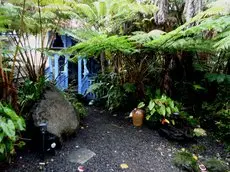 Upcountry Volcano Mountain Cottage 