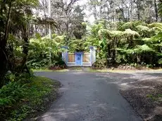 Upcountry Volcano Mountain Cottage 