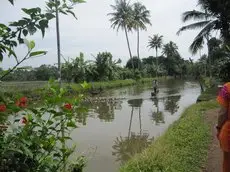 Homestay in Kottayam near St. George Jacobite Syrian Church 