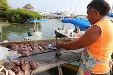 El Milagro Beach Hotel and Marina 