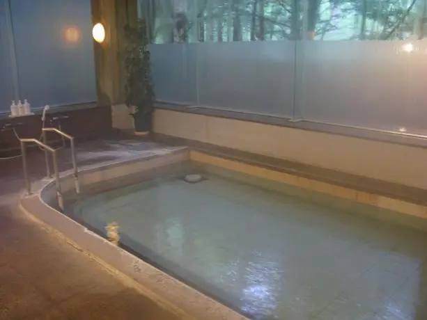 RYOKAN Kusatsu Onsen Pet to Tomareru Yado Onga